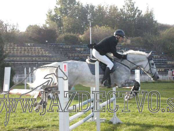 Koice 2005