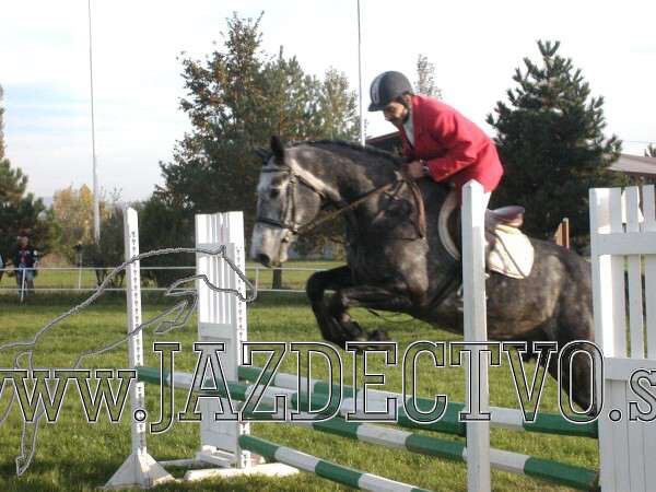 Koice 2005