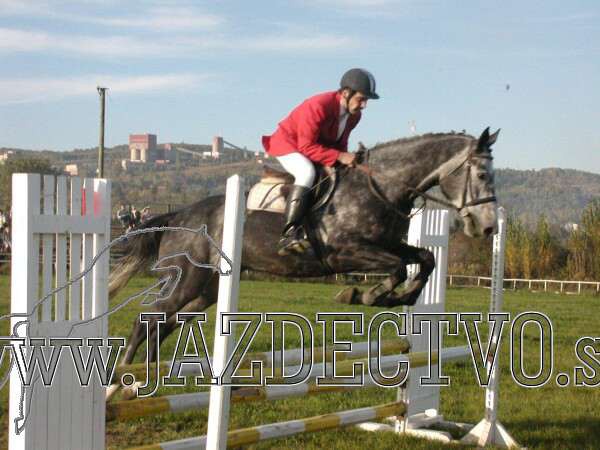 Koice 2005