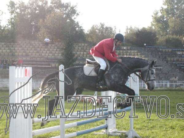 Koice 2005