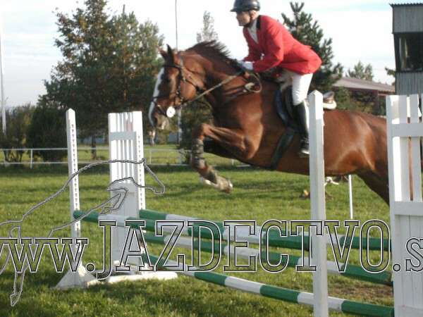 Koice 2005