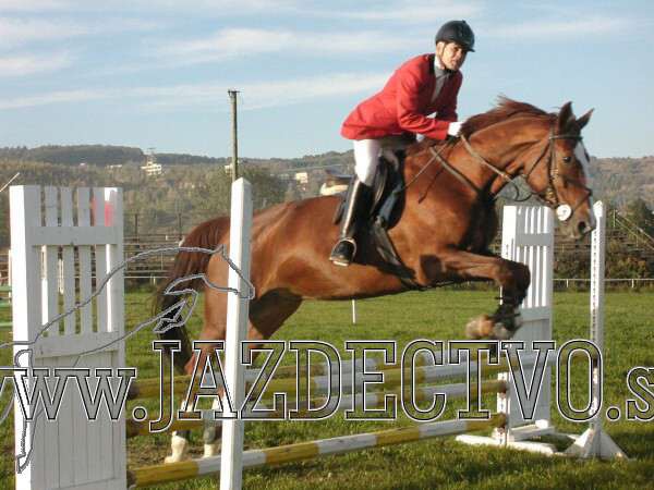 Koice 2005