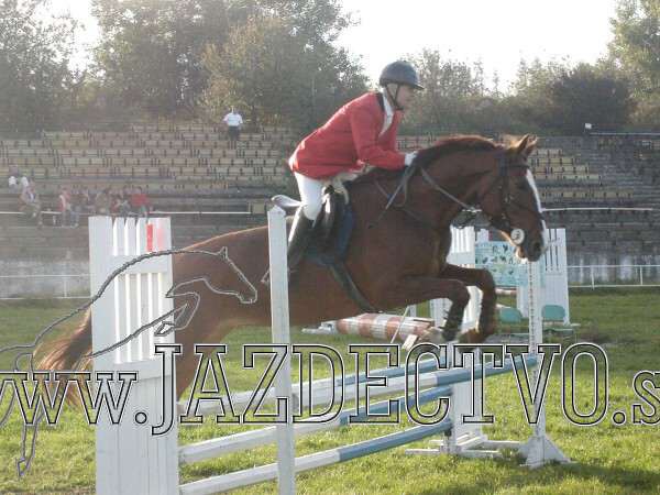 Koice 2005
