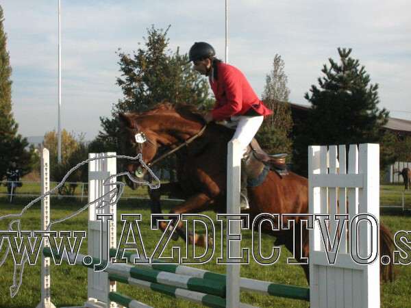 Koice 2005