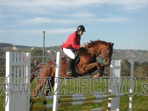 Koice 2005