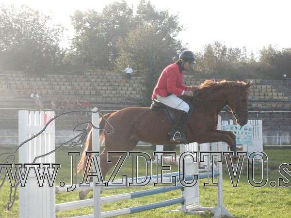 Koice 2005