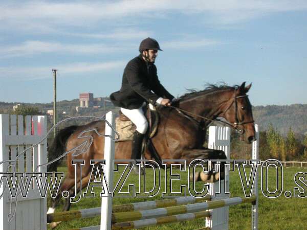 Koice 2005