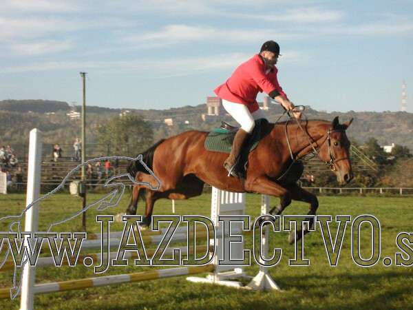 Koice 2005