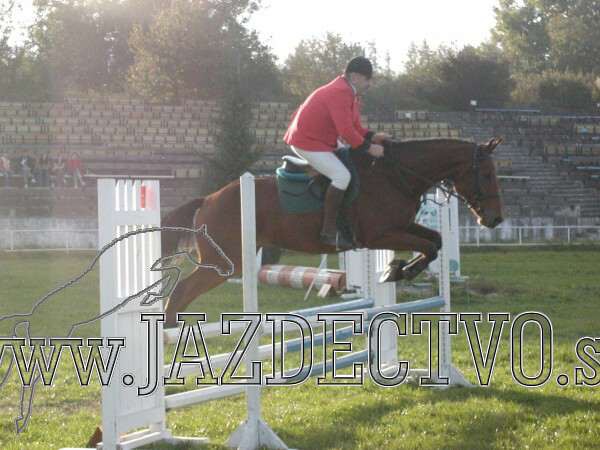 Koice 2005