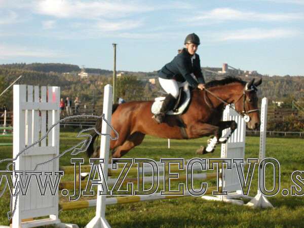 Koice 2005