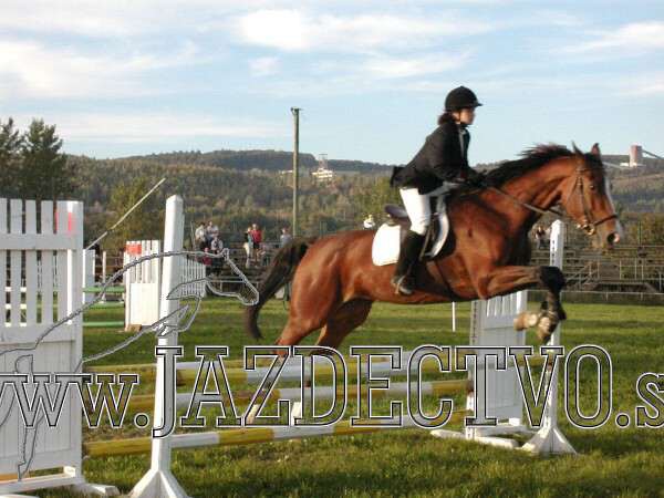 Koice 2005