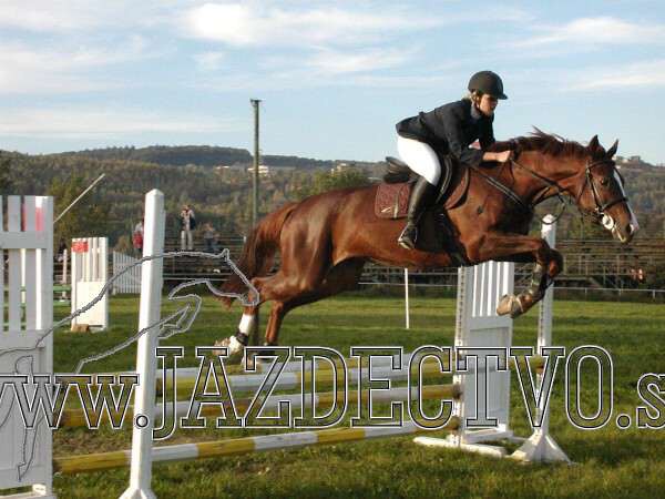 Koice 2005