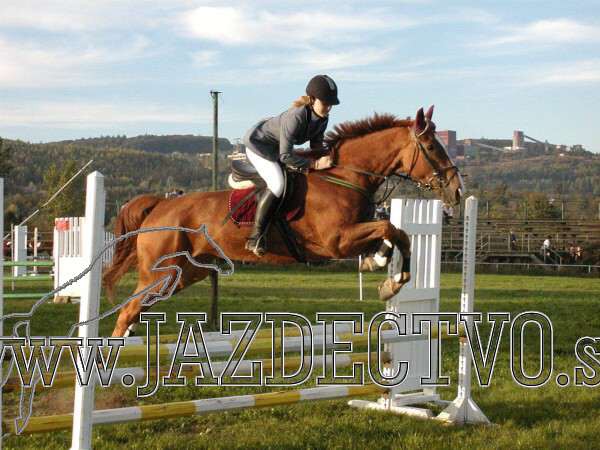 Koice 2005