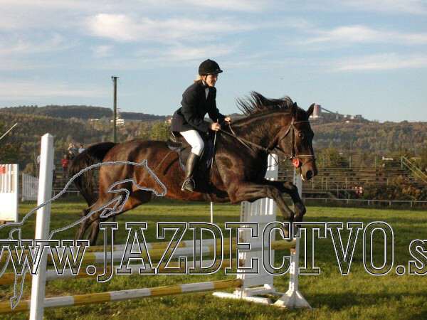 Koice 2005