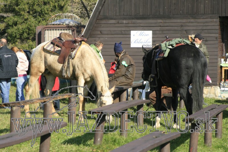 TATRY 2009