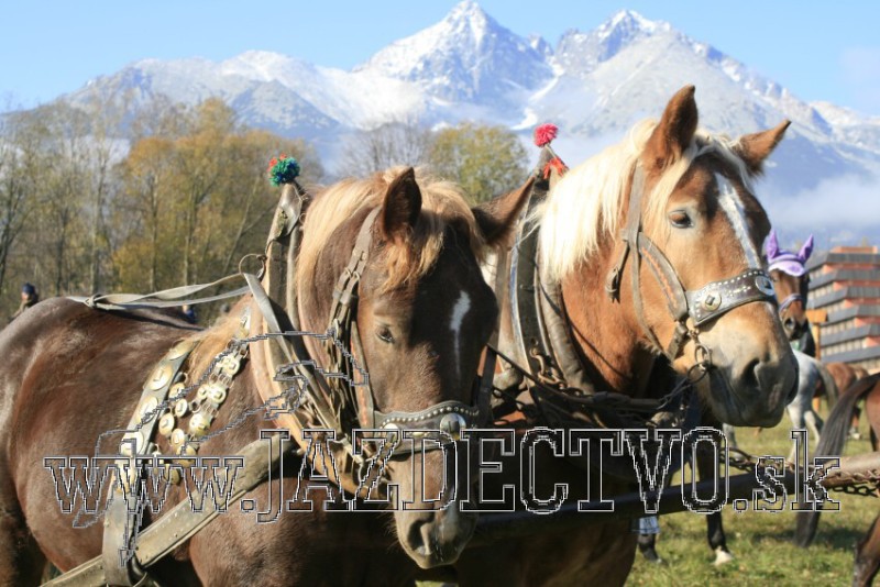 TATRY 2009