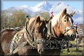 TATRY 2009