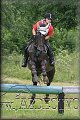 T. LOMNICA j�l 2009