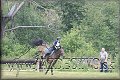 T. LOMNICA j�l 2009