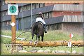 T. LOMNICA j�l 2009
