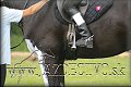 T. LOMNICA j�l 2009