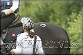 T. LOMNICA j�l 2009