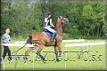 T. LOMNICA j�l 2009