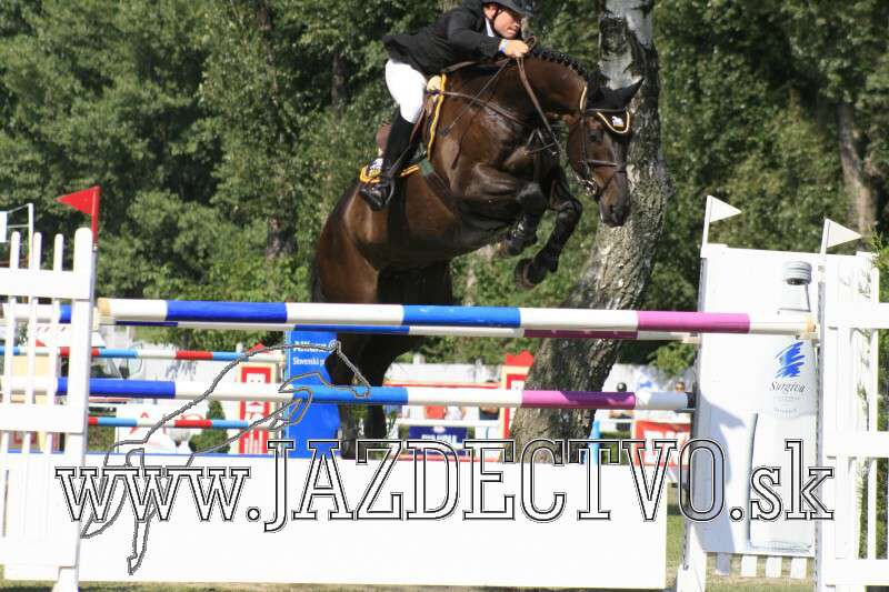 BRATISLAVA 8.8. 2010
