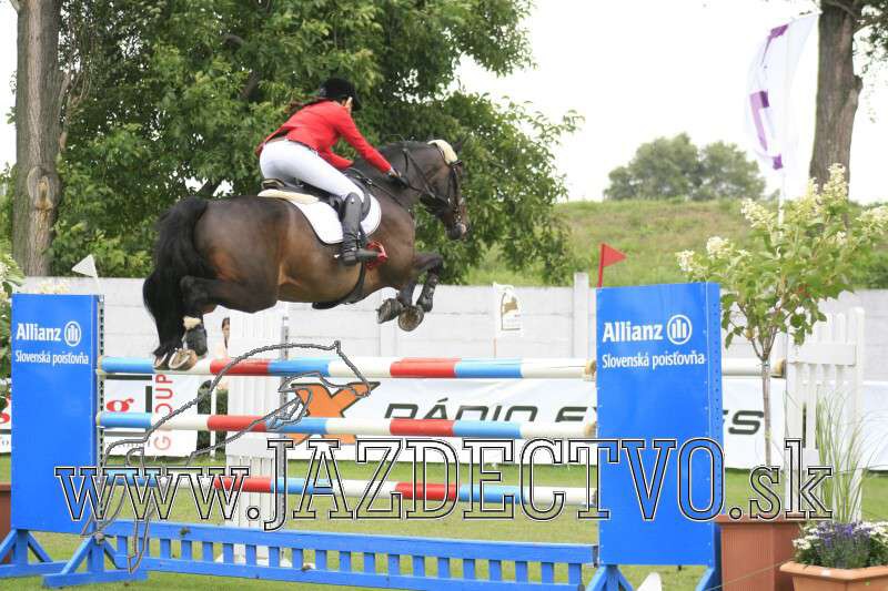 BRATISLAVA 8.8. 2010
