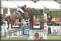 Poh�r n�rodov BA 2010