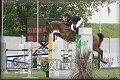 Poh�r n�rodov BA 2010