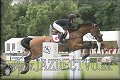 Poh�r n�rodov BA 2010