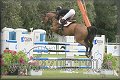 Poh�r n�rodov BA 2010