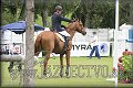 Poh�r n�rodov BA 2010
