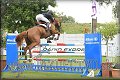 Poh�r n�rodov BA 2010