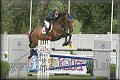 Poh�r n�rodov BA 2010