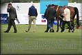 Poh�r n�rodov BA 2010