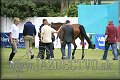 Poh�r n�rodov BA 2010