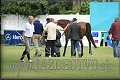 Poh�r n�rodov BA 2010
