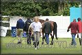 Poh�r n�rodov BA 2010