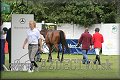Poh�r n�rodov BA 2010