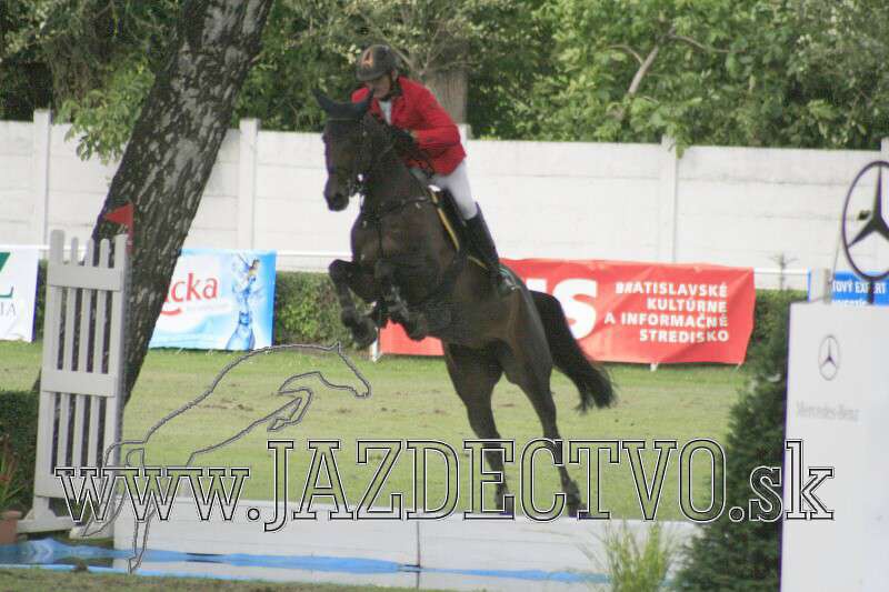 BRATISLAVA 6.8. 2010