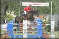Poh�r n�rodov BA 2010