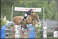 Poh�r n�rodov BA 2010