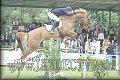 Poh�r n�rodov BA 2010