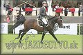 Poh�r n�rodov BA 2010