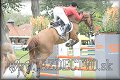 Poh�r n�rodov BA 2010
