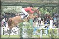 Poh�r n�rodov BA 2010