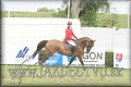 Poh�r n�rodov BA 2010