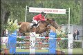 Poh�r n�rodov BA 2010